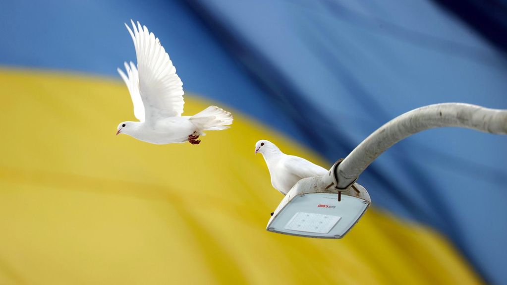 Foto zeigt eine Flagge der Ukraine und weiße Tauben
